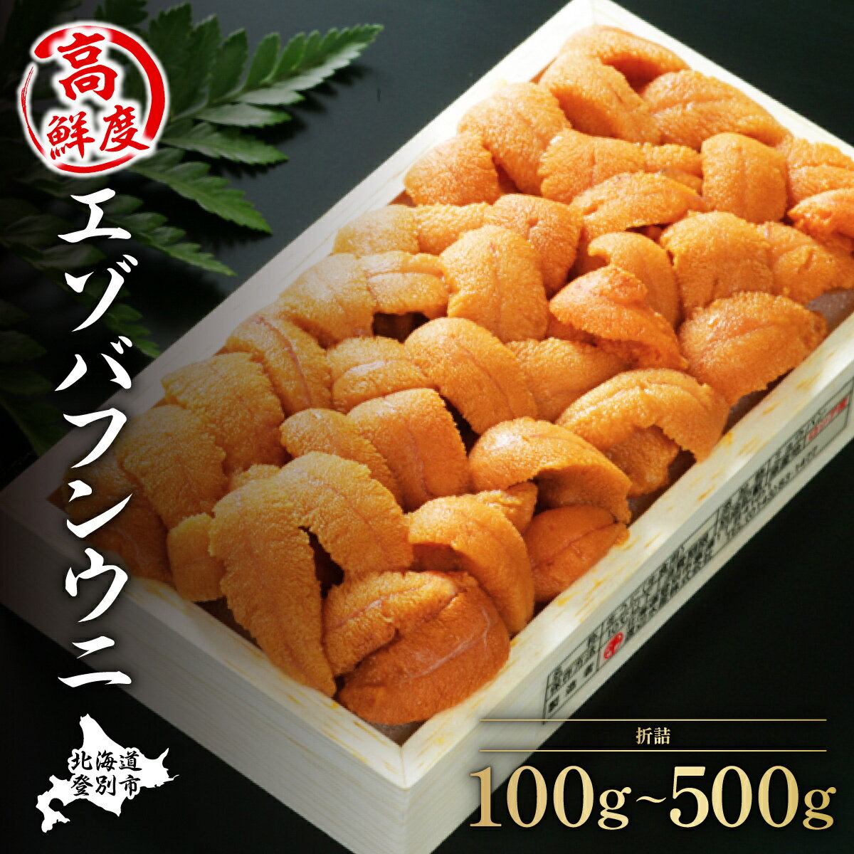 うに 北海道 極上 生うに 折詰 エゾバフンウニ 雲丹 100g 〜 500g《アフター保証付き》 | ふるさと納税 うに 北海道 高級 海鮮 魚 魚介類 ウニ 登別 ギフト 2025 ふるさと 人気 ランキング 送料無料